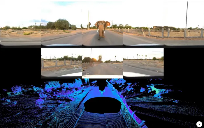 Waymo World Model generating a camera and lidar scene with an elephant on the road